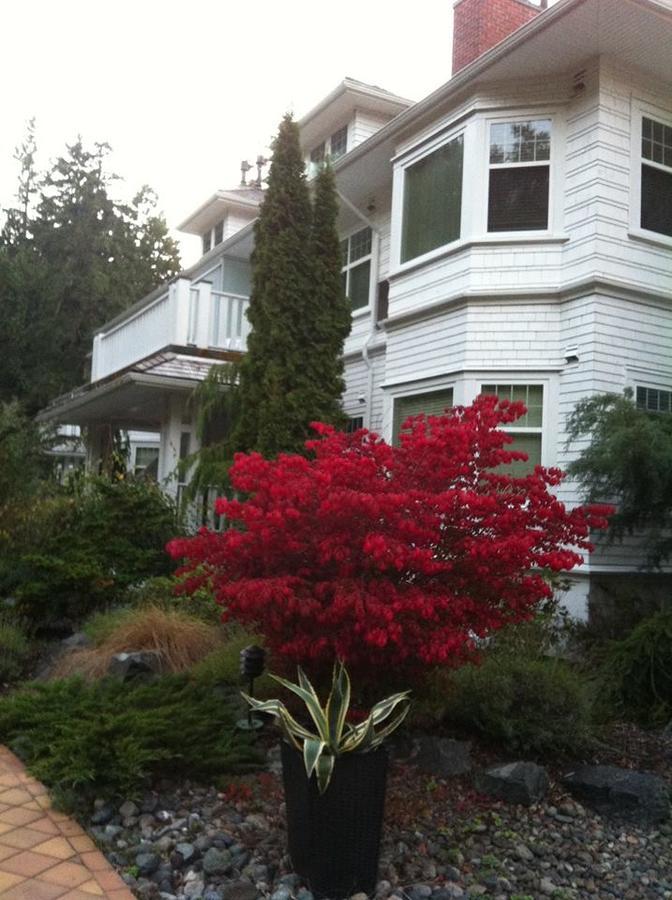 Crown Mansion Boutique & Hotel